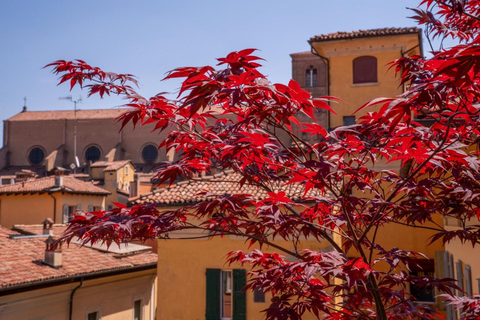 Piazza Maggiore Santa Margherita B&B Bologna Zimmer foto